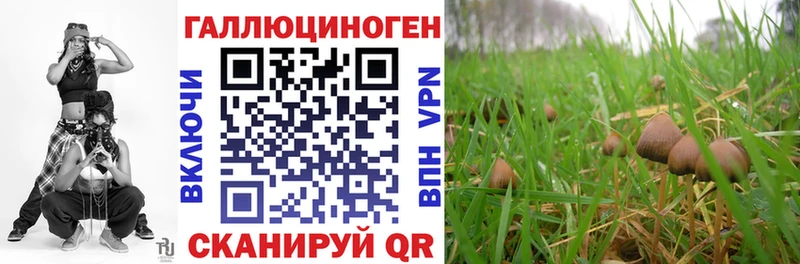 Псилоцибиновые грибы ЛСД  Севск 